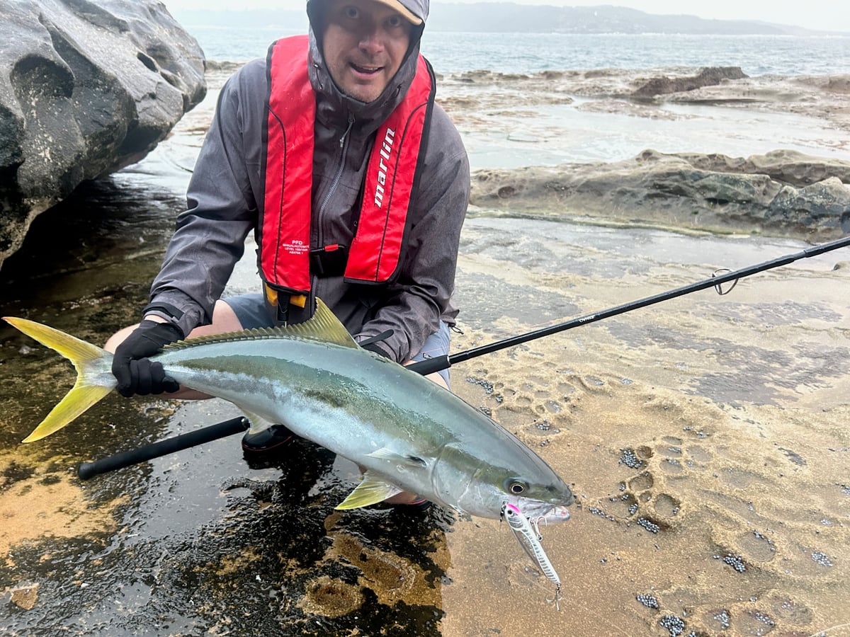 A Sydney yellowtail kingfish landed from the rocks, held by Olli-Mikael Vaittinen